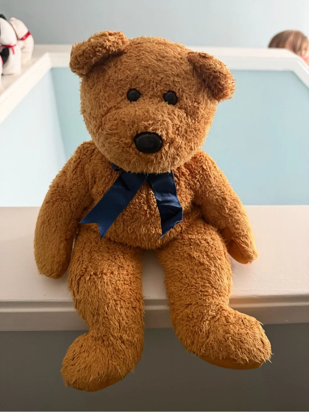 TY Beanie Baby FUZZ the Bear 8.5” Plush Stuffed Animal Toy Collectible No Tag